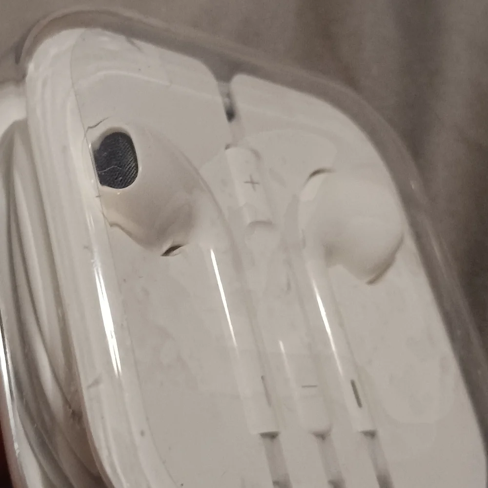 NEW! APPLE Ear Buds